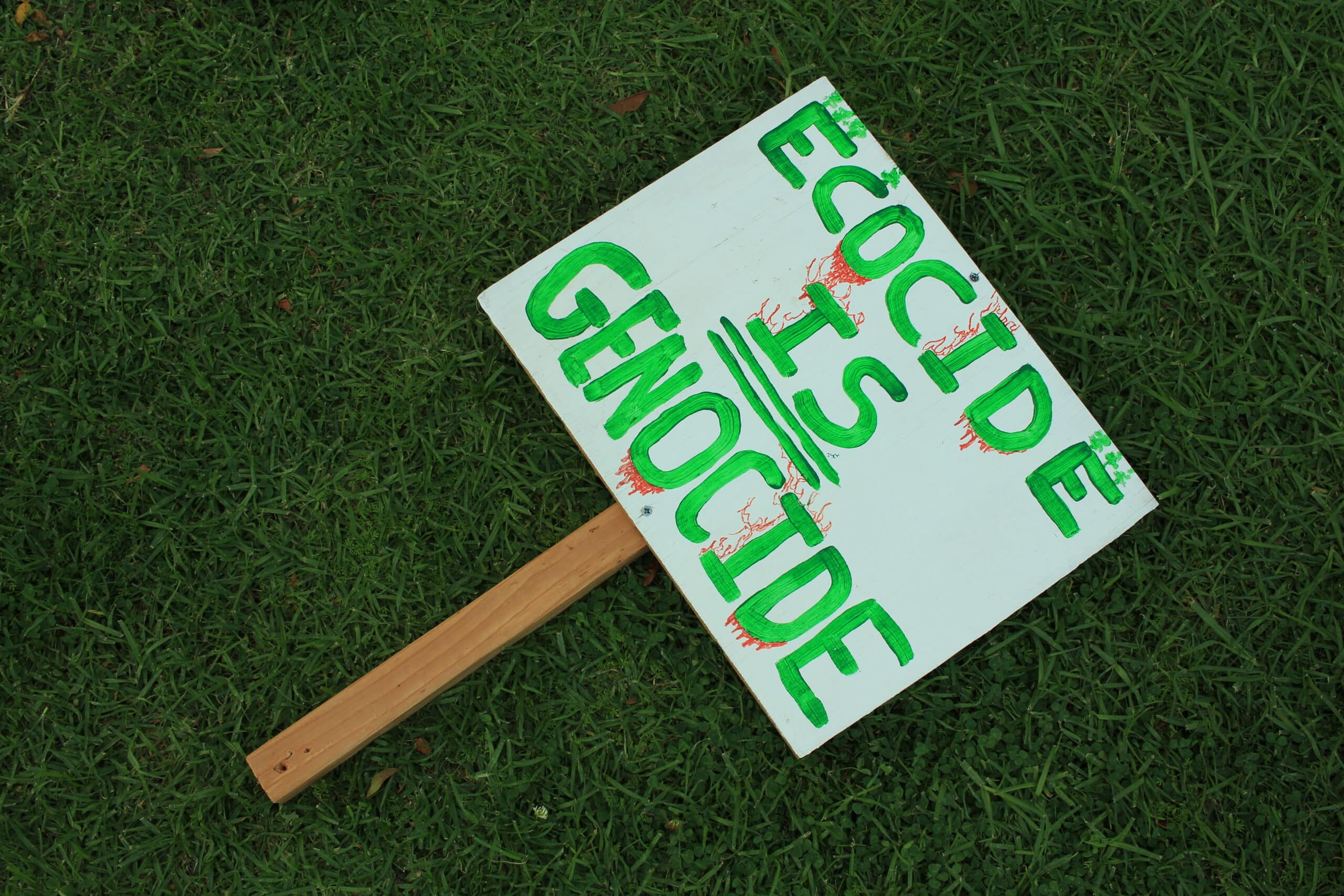 Input on Environmental Crimes Policy